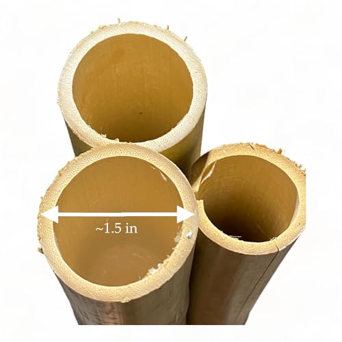 Pack of 3 Bamboo Sticks - 6 Feet Long Natural Thick Bamboo Poles - 1.5 in Diameter - Garden Stakes (Beige) - color: Beige