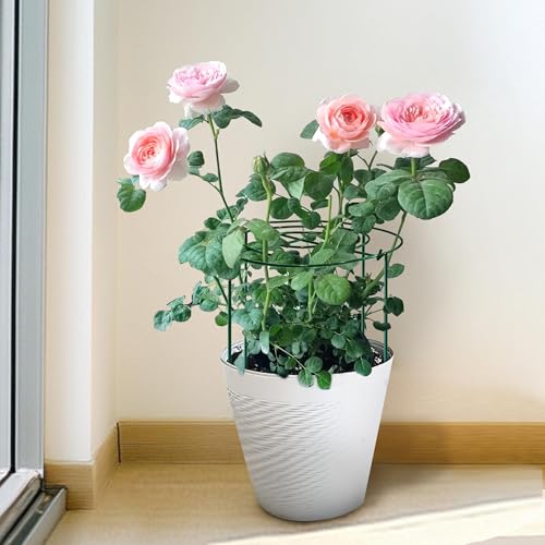4pack Peony Cages and Supports, 12 x 24 Inch Four Legs Peony Cage, Heavy-Duty Peonies Support Cages, Peony Ring for Roses, Hydrangeas, Sage, Peonies, Cucumbers, Tomato - size: 12"x24"-4pack
