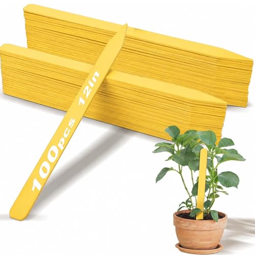 Weysat 200 Pcs 12" Wood Plant Labels for Field or Containers Plant Tags Wood Garden Labels for Seedling Stakes Markers Nursery Seed Tags with Smooth Surface for Pot Herbs Flowers Vegetables (Yellow) - color: Yellow, size: 12 Inch