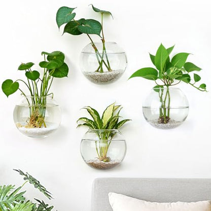 DomeStar Set of 4 Wall Vases, Wall Mounted Propagation Station - size: 4pcs