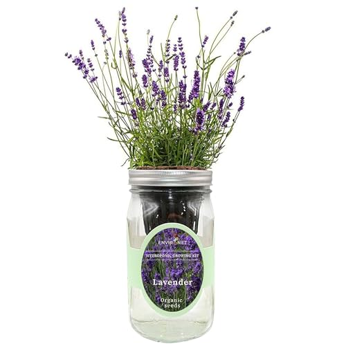 Hydroponic Herb Growing Kit, Self-Watering Mason Jar Herb Garden Starter Kit Indoor, Windowsill Herbs Garden, Grow Your Own Herbs from Organic Seeds (Lavender) - color: Lavender
