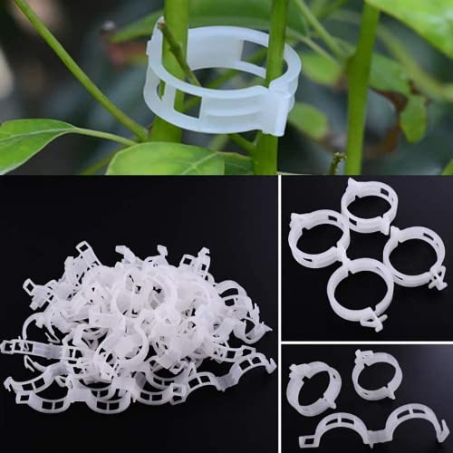100PCS Plant Support Garden Clips Tomato Clips Supports/Connects Plants/Twine/Vines Trellis/Cages Plant Vine Vegetable Fastening Clip Grafting Tools Make Plant Grow Upright and Healthier (100PCS) - color: 100PCS