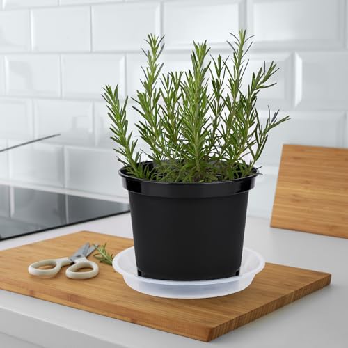 GREANER Plastic Garden Pots, 8 Inch Nursery Pots for Indoor Outdoor Plants, Black Plastic Planters for Planting Seeds, Flower, Succulent(Pack of 10) - size: 8 Inch