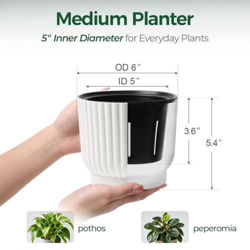 T4U Self Watering Pots for Indoor Plants, 6 Inch 6 Pack Planter White - color: White, size: 6 Inch