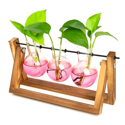 XXXFLOWER Plant Terrarium Kit with Wooden Stand 3 Gradient Pink Bulb Vases - color: Pink