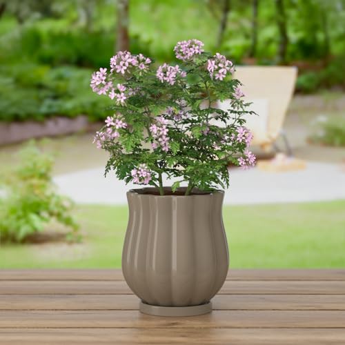4.7" Brown Ceramic Plant Pot with Saucer - color: Brown, size: Small