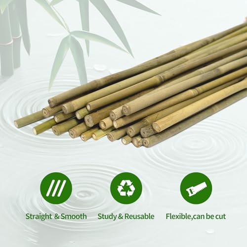 36 Pcs Plant Stakes, 16 Inches Natural Garden Bamboo Sticks, Plant Support Stakes for Indoor & Outdoor Plants, Orchid Tomato Vegetable Stakes for Garden