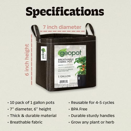 GeoPot 1 Gallon Fabric Grow Bags with Handles for Vegetables, Houseplants, Herbs & Flowers | 10-Pack | Fabric Pots for Outdoors and Indoors, Aerated Fabric Grow Bags - size: 1 Gallon (10-Pack), style: With Handles