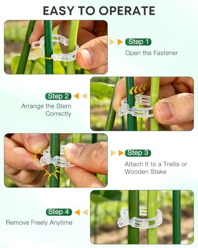 300Pcs Tomato Clips,Transparent Garden Plant Clips,Plastic Trellis Clips for Tomatoes,Cucumbers,Vines, Reusable Plant Support Clips, Gardening Supplies to Grow Upright - color: Transparency
