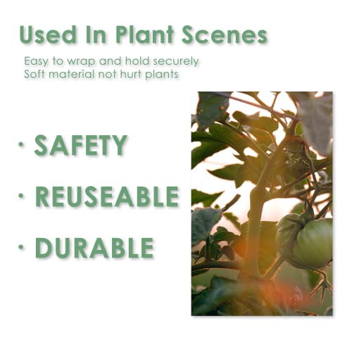 Garden Tie Green Tape, Plant Supports, Gentle On Plants (65.6ft × 0.6 inch, 1 roll, Green) - size: 65.6ft
