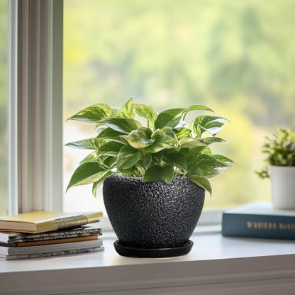 Ceramic Planter 6 Inch, Ceramic Plant Pots Indoor, Black - color: Black, size: 6 Inch