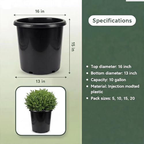 Green Oasis 10 Gallon Nursery Pots (10-Pack) - Premium Injection Molded Black Plastic Plant Pots, Heavy Duty Commercial Grade with Drainage Holes - Perfect for Trees, Vegetables & Shrubs