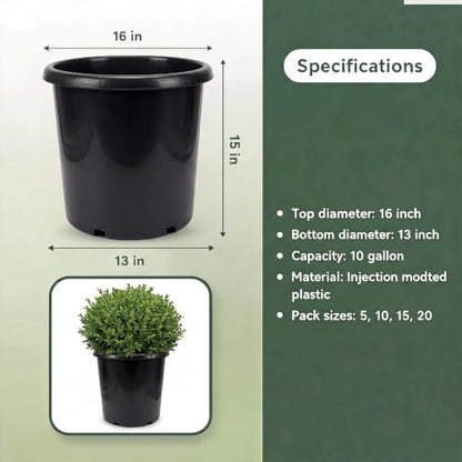 Green Oasis 10 Gallon Nursery Pots (10-Pack) - Premium Injection Molded Black Plastic Plant Pots, Heavy Duty Commercial Grade with Drainage Holes - Perfect for Trees, Vegetables & Shrubs