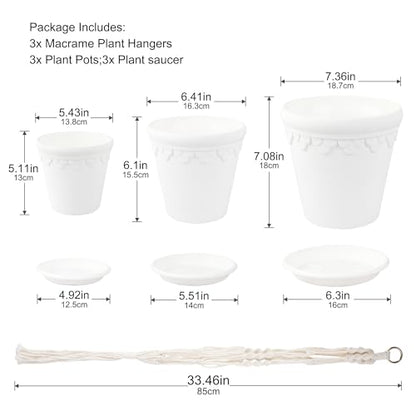 Hanging Planters with Macrame Plant Hangers, 3-Set Self Watering Pots, Hanging Flower Baskets for Indoor Outdoor Plants,3 Different Sizes