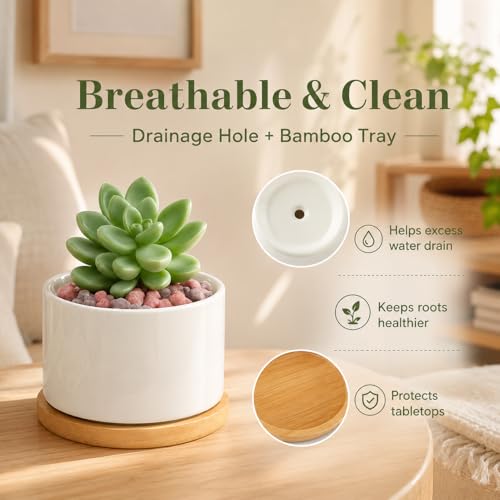 ZOUTOG 6 Pack 3.6" Ceramic Succulent Pots,White Planter with Drainage Tray | Round Flower Plant Pot Ideal for Windowsill, Bedroom and Living Room, Great for Succulents, Cacti & Small Indoor Green Plants