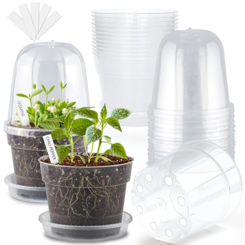 BTPLASTIK 6 Inch Clear Nursery Pots with Humidity Domes 15 Pack, Transparent Plastic Plant Pot with Drainage Holes and Saucers, Seed Starter Pots with 15 Pcs Plant Labels and 15 Pcs Soil Screens - size: 6 Inch-15P-with Humidity Domes