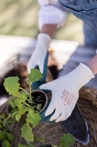 RILEY & SONS Eco-Friendly Garden Gloves - Biodegradable, GOTS Certified Organic Cotton, FSC Certified Rubber, Unisex Sizing - size: Large