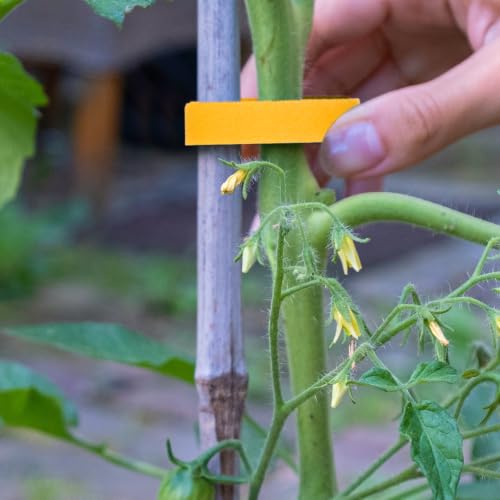 HARFINGTON Garden Plant Tape 16.4ft 25/32" Reusable Ties Strap Yellow - color: Yellow, size: 16.4ft x 25/32"