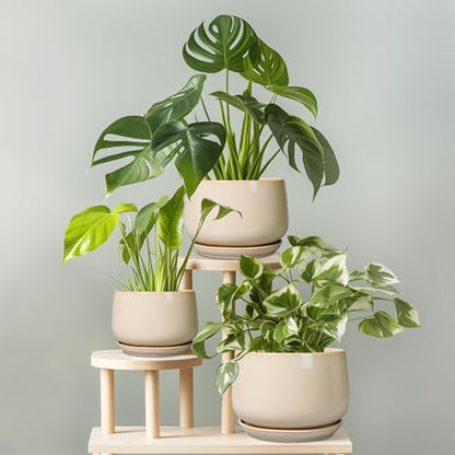 G EPGardening Ceramic Pot for Plants, 6 Inch Planter with Drainage, Beige - color: Beige, size: 5 Inch