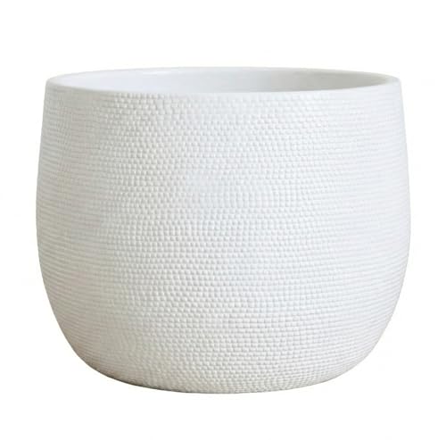 Olly & Rose Barcelona Barcelona Ceramic Plant Pot Large 25cm - White Flower Pots - Indoor & Outdoor Planters - Matt White - color: White