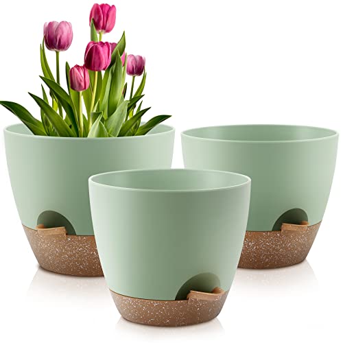 QRRICA Plant Pots 10/9/8 Inch Self Watering Pots, Set of 3 Plastic Planters with Drainage Holes and Saucers,Plastic Flower Pots,Nursery Planting Pot for Indoor Out Door Plants（Green） - color: Green, size: 10/9/8 inch