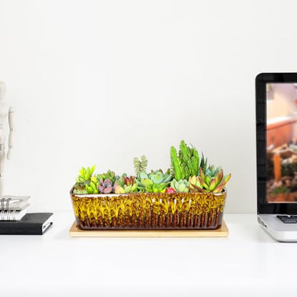 Succulent Pots, 12'' Long Rectangle Planters with Tray, Windowsill Planter - color: Yellow