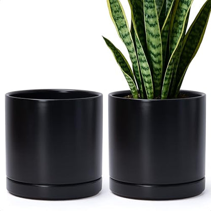 D'vine Dev 2-Pack Ceramic Pots with Saucers, Black, 8.2 in, 94-V-D-2 - color: Black, size: 8 Inch