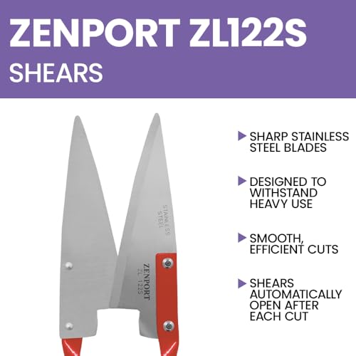 Onion Shears - size: 5.5-Inch