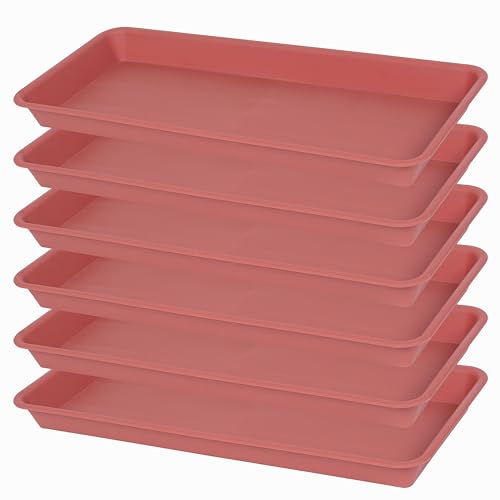 VUWEZ 6 Pack Rectangular Plastic Plant Tray Saucer, Terracotta, 6 X 11 Inch, 100lbs Weight Capacity, Indoor/Outdoor, Windowsill Planter Tray - color: Terracotta, size: 11'' x 6'' x 1.0'' (6 pack)