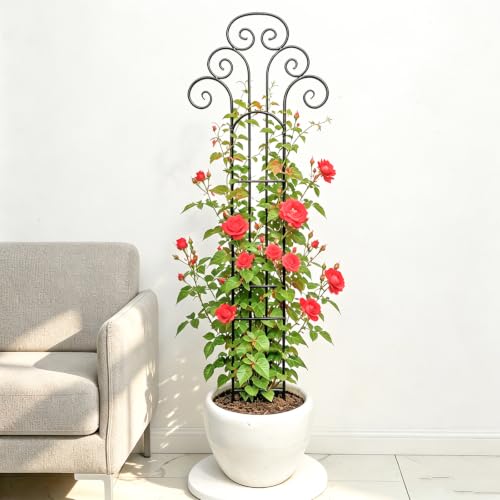 Metal Indoor Plant Trellis for Climbing Plants, 47" Rose & Clematis Support - size: 47"H