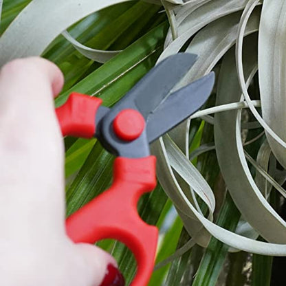 MerakiFloralTools Flower Scissors With Black Carbon Steel Blades 6.7 Inch, Amaryllis (Red) - style: 6.7 Inch Red