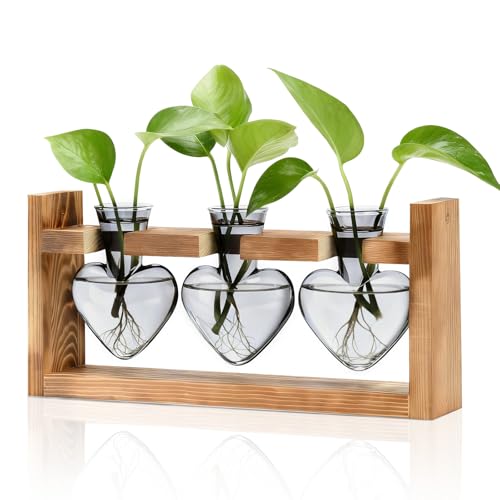 Nacome Plant Terrarium with Wooden Stand, 3 Heart Bulb Glass Vases - color: Light Gray