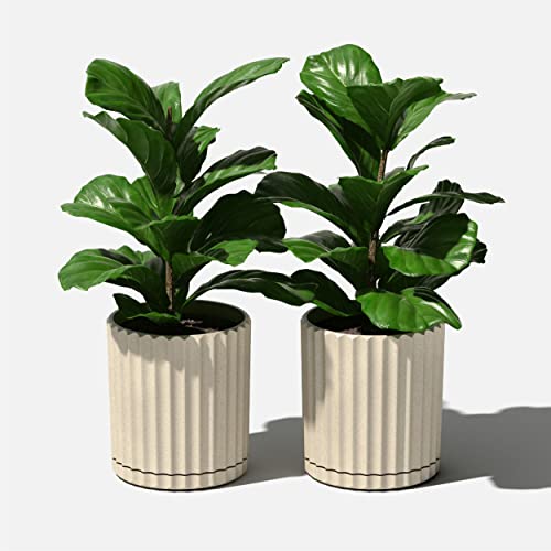 Veradek Demi Series Demi 6" Planter w/Tray - Sand, 2 Pack - color: Sand, size: 6 inch - 2 Pack