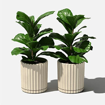 Veradek Demi Series Demi 6" Planter w/Tray - Sand, 2 Pack - color: Sand, size: 6 inch - 2 Pack