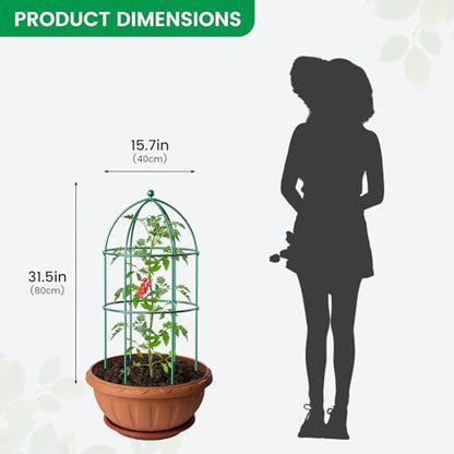 SUNYRISY 3 Pack Metal Plant Support Cage for Tomato Peony Cucumber - size: 31.5 x 15.7 in