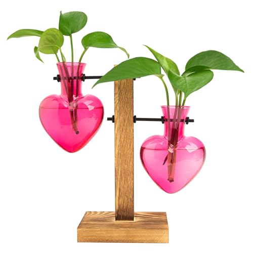 XXXFLOWER Plant Propagation Station Terrarium 2 Pink Heart Shaped Vase - color: Pink