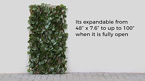 Verseo Artificial Ivy Privacy Fencing System, Faux Ivy Vine & Willow Branch Lattice, Adjustable Ivy Wall Privacy Screen, Expandable Horizontal or Vertical up to 96" (Set of 2, for 192" of Coverage) - size: 2 Pieces