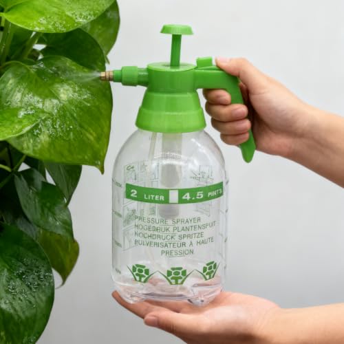 2L Garden Sprayer,Pressure Spray Bottle,Hand Pump Sprayer (2L Green) - color: 2L Green