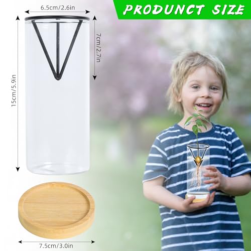 Bylion 2 Pack Avocado Growing Kits Avocado Seed Starter - color: Black