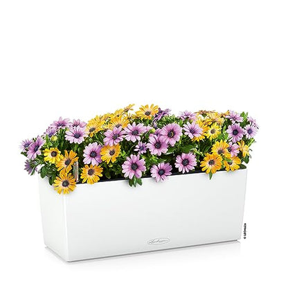 Lechuza BALCONERA Color 50 White, Self-Watering Window Box (Railing Planter), H7.5 L19.7 W7.5 in - color: White Matte, size: 50 cm, style: 50