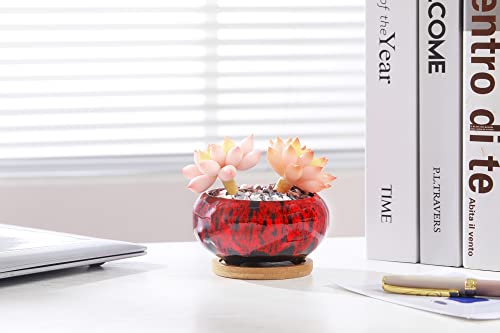 Cute Ceramic Succulent Garden Pots, Planter with Drainage and Attached Saucer, Set of 5 -Plants Not Included (Vivid Colors) - color: Vivid Colors