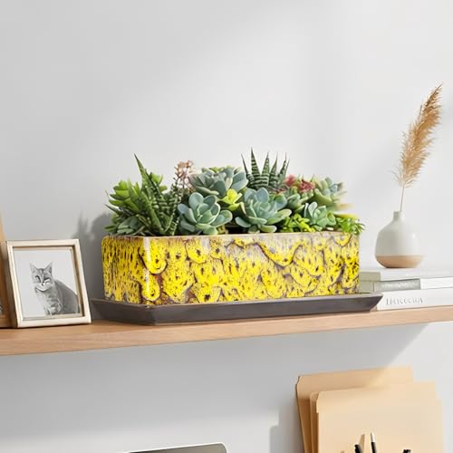 Succulent Pots - Long Rectangle Succulent Planters with Drainage Tray - color: Yellow