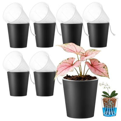 6 inch self Watering Pot with Clear Nursery Pot Inside,Black,6pack - color: Black, size: 6in(6pack)