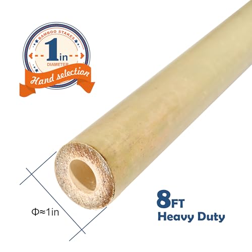 COLOtime 8FT Bamboo Stakes Plant Stakes 1in Thick Dia. Garden Poles 10 Pack - size: 8ft, 10 Pack