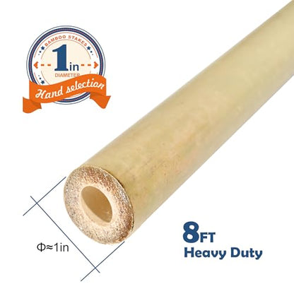 COLOtime 8FT Bamboo Stakes Plant Stakes 1in Thick Dia. Garden Poles 10 Pack - size: 8ft, 10 Pack