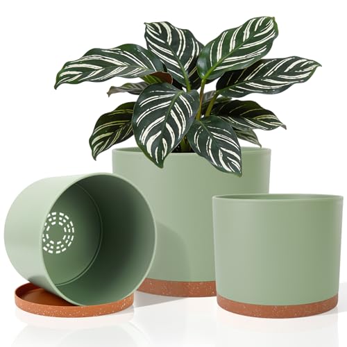 GARDIFE 3 Pack Cylinder Planter Set 10/9/8 Inch White Indoor Plant Pots - color: Green-brown