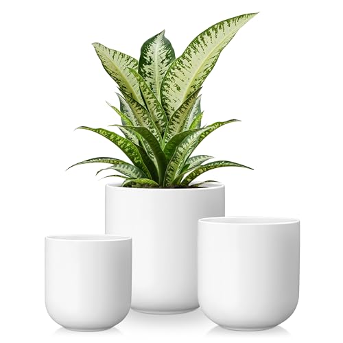 vancasso Ceramic Plant Pots, 4+5+6 inches, Set of 3, Planters with Drainage Hole, Flower Pots Planters Pots for Indoor Plants, Modern Indoor Decorative Garden Pot, Home Decor, White - color: White, size: 4+5+6 Inch