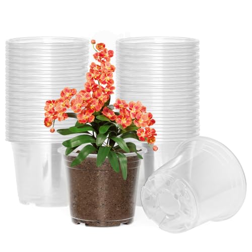 JNYONG 60 Pack 6 Inch Clear Nursery Pots with Drainage Hole - size: 6 Inch