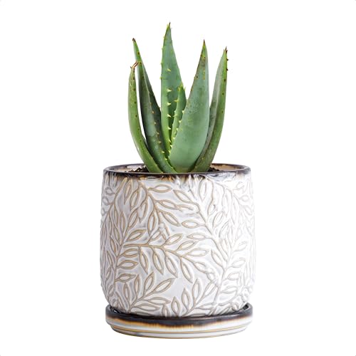 D'vine Dev Embossed Leaves Ceramic Planter, 4 in, Smoked White, 27-A-Z-1 - color: Smoked White, size: 4 Inch