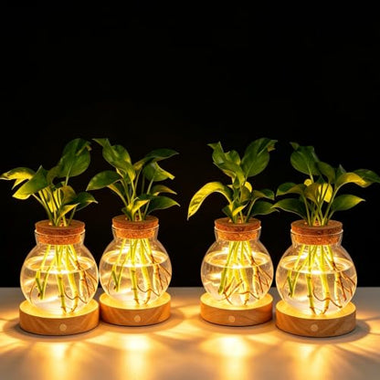 Plant Propagation Station with Light,Everkeen Glass Terrarium with Stepless Dimming Function Hydroponic Glass Container Vase Jars Gardening Gifts for Mom Women Plant Lovers 4 Pack - color: Clear 4 Pack